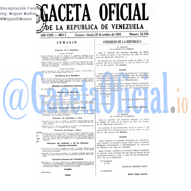 Gaceta Oficial 33336 del 25 Octubre 1985