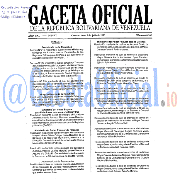 Gaceta Oficial 40202 del 8 Julio 2013